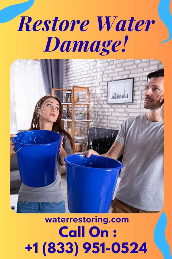water restoration Platinum Water Mitigation Pros Diamond Bluff