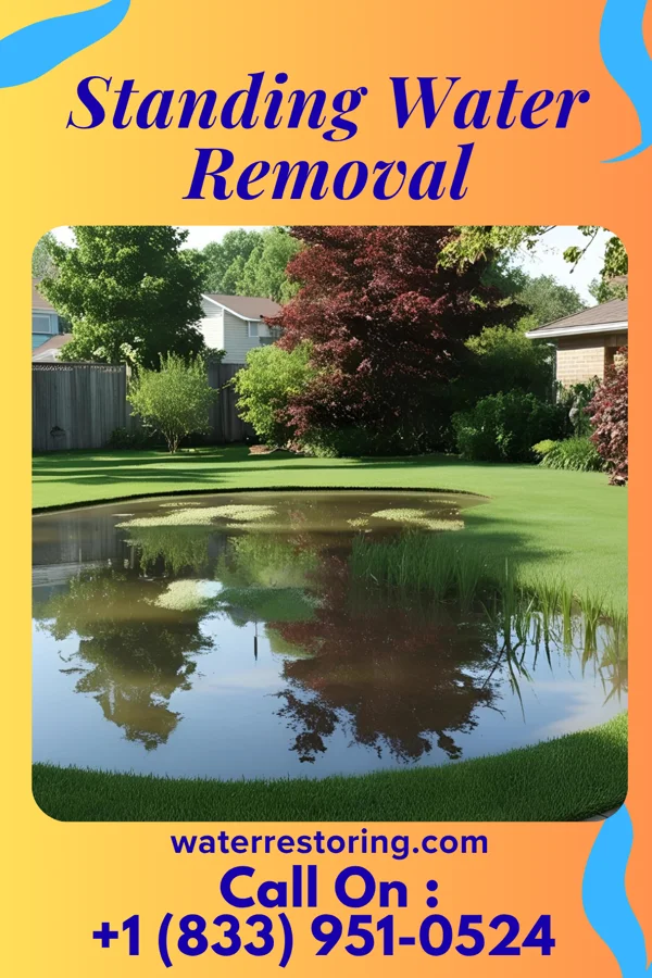Standing Water Removal in Diamond Bluff, WI